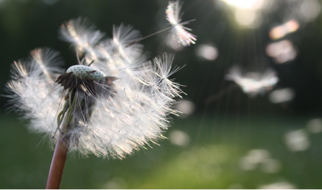 Superannuation & the role it can play in your Estate